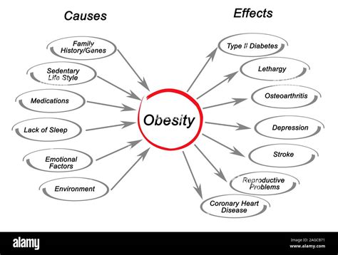 Obesity: Causes and Effects Stock Photo - Alamy