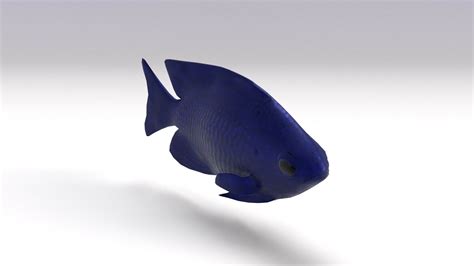 ArtStation - Blue Damselfish | Resources