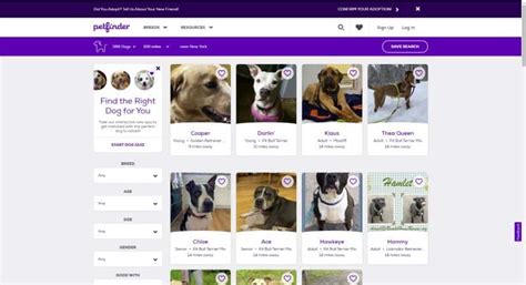 9 Best Pet Adoption Websites: Where to Find a New Pooch!