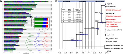 Figure 2 from Ancient hybridization with an unknown population ...