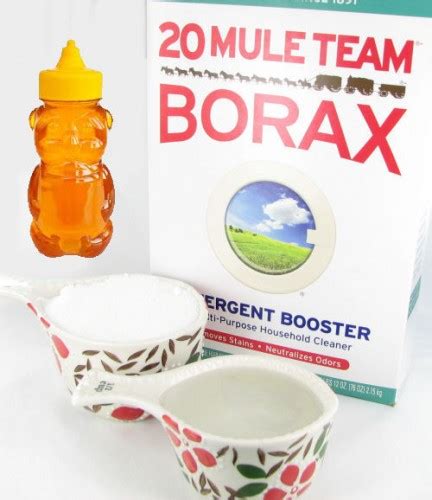 Borax Ant Killers - Testing 5 Different Natural Ant Killers Against Terro