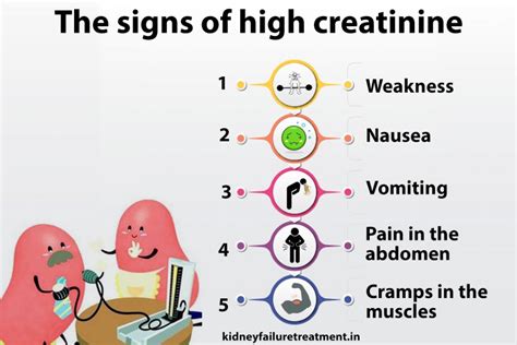 Serum creatinine - bitcoinloxa