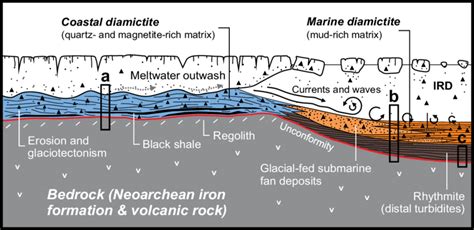 Model showing sedimentary mechanisms underlying diamictite-bearing ...