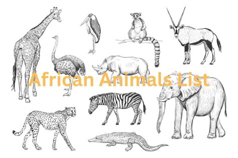 African Animals List - Predators, Primates & Horned Animals of Africa