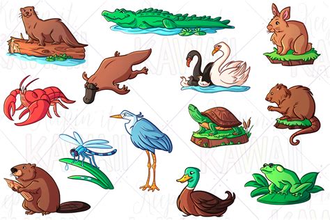 Wetland Animals Clip Art By Keepin' It Kawaii | TheHungryJPEG