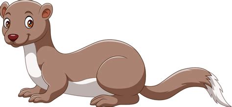 Free Clipart Ferret