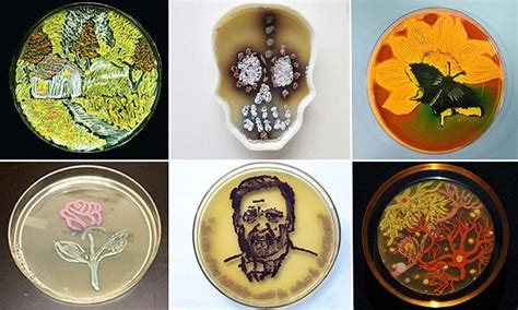 Scientists create intricate works of art using bacteria | Daily Mail Online