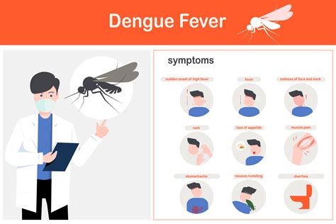 dengue fever symptoms 15389784 Vector Art at Vecteezy