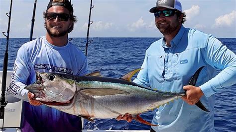 Yellowfin Tuna Fishing - YouTube