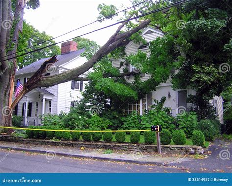 Broken Tree on House - Hurricane Damage Stock Photo - Image of ...