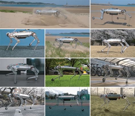 Meet RaiBo, the futuristic robot dog that loves a good run on the beach!