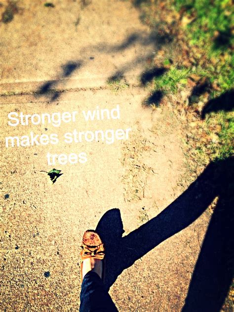 The stronger the wind, the stronger the tree 👌 Amazing quote :) amazing ...