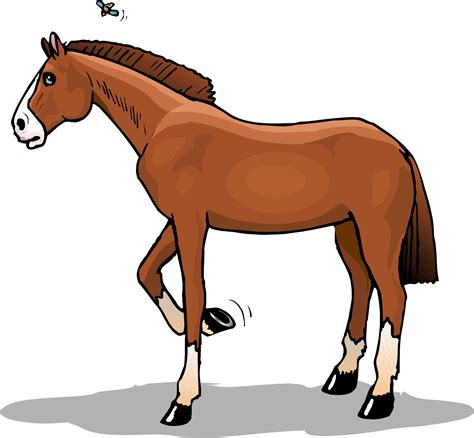 Pretty Horse Cartoon Pictures - ClipArt Best