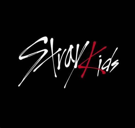 ¡Cómo Stray Kids se convirtió en la boy band que conocemos y amamos!