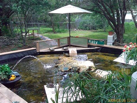 35 Delightful Turtle Backyard Pond - Home, Family, Style and Art Ideas