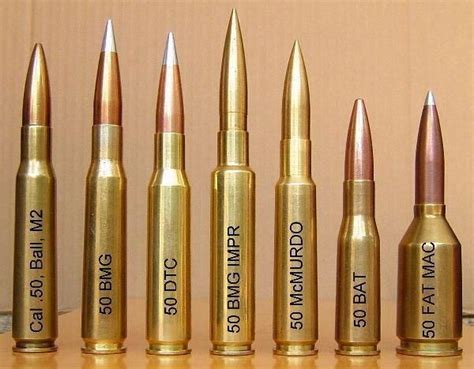 beowulf 50 cal | Never knew there were so many 50 cal rounds-5790 ...