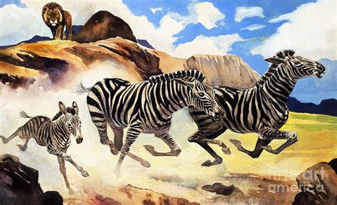 Lion Hunting Zebras Painting by Gw Backhouse