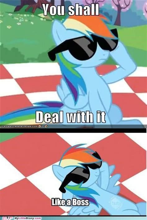 Funny Pony Memes - Funny Memes