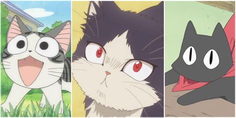 Top 73+ anime about cats - in.cdgdbentre