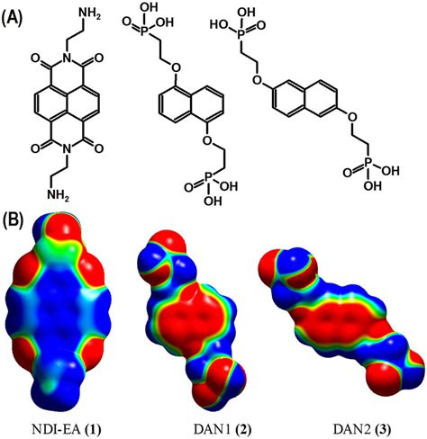 The chemical structure: N,N′-diethylamine-NDI and 1,5- and ...