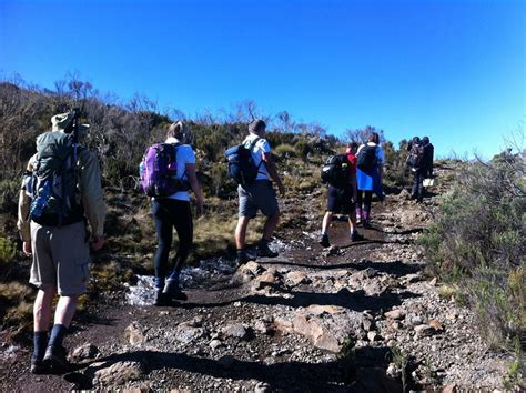 Mount Kenya Climbing - Wild Peak Adventures