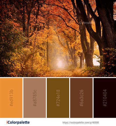 267 Autumn Color Palette Ideas | iColorpalette