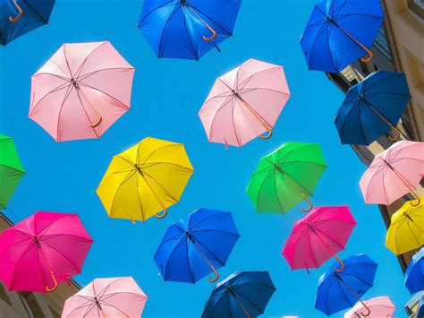 Funny Assorted-color Umbrella Rgb Image Free Photo