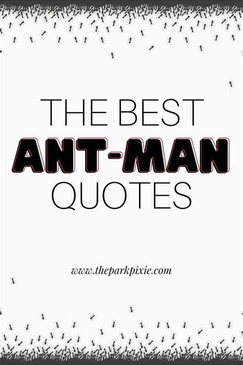 Best Ant-Man Quotes to Share Across the Interwebz in 2024