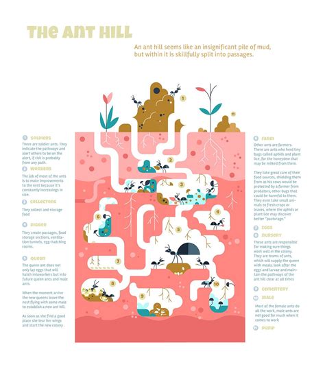 The ant hill on Behance Homeschool Lesson, Homeschooling, Ant Hill ...