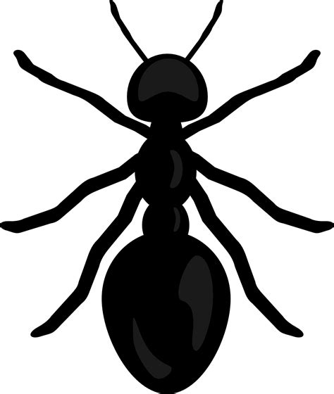 Ant clipart happy, Ant happy Transparent FREE for download on ...