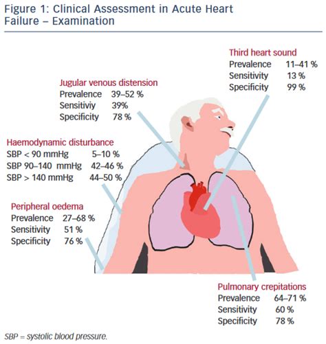 Clinical Assessment in Acute Heart Failure Examination | Radcliffe ...