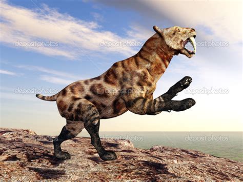 Smilodon Size