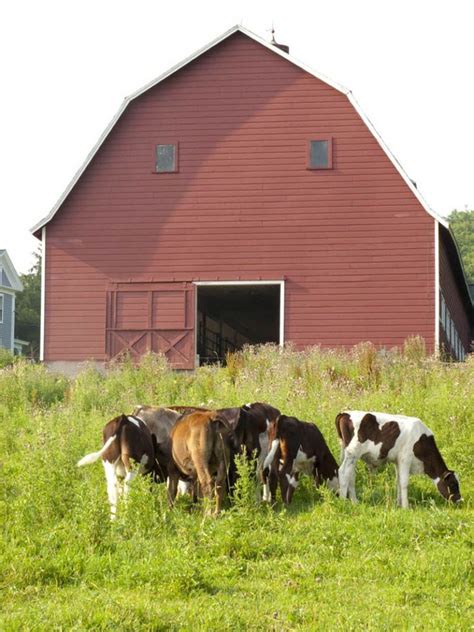 Pin by Martha Vazquez on Barns of America! (27) | Old barns, Barn ...