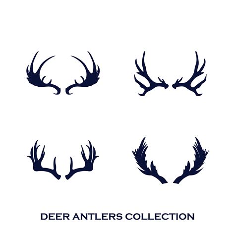 deer antlers collection vector illustration 36498496 Vector Art at Vecteezy