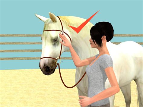 How to Teach a Horse to Bow Properly (with Pictures) - wikiHow