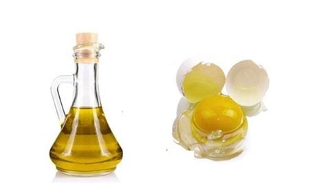 Egg yolk face mask recipe: 15 easy and simple solutions