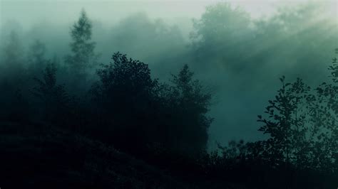 Rainy Foggy Forest Desktop Wallpapers - Wallpaper Cave