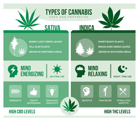 Boost Wellness | Cannabis: Indica, Sativa, and CBD | Heally