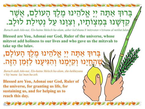 netilat lulav blessing for Sukkot | Sukkot, Simchat torah, Torah