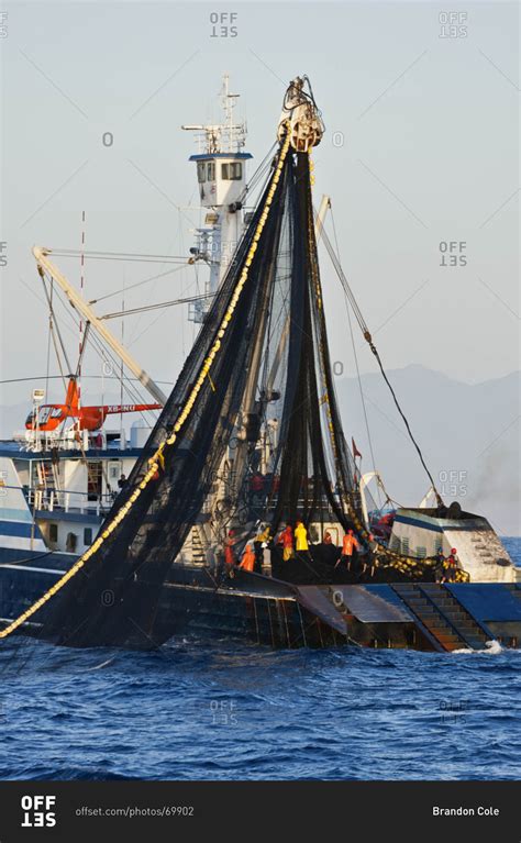 Commercial tuna fishing boat pulling in its net off the coast of Mexico ...