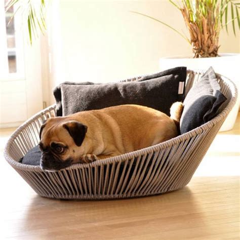 Buying Fancy Dog Beds | Dog Bandanas