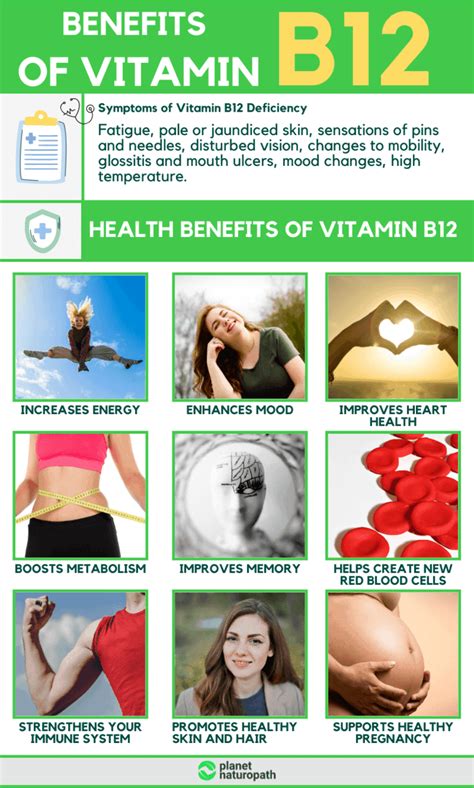 Vitamin B12 Guide: How To Treat Vitamin B12 Deficiency - Planet Naturopath