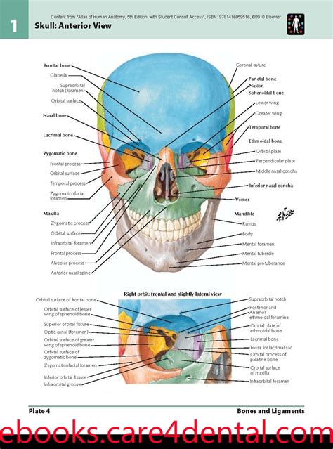 Netter Interactive Atlas Of Human Anatomy 30iso _BEST_