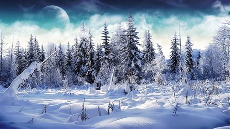 HD wallpaper: winter, sky, blue, nature, snow, snowy, tree, fantasy art ...