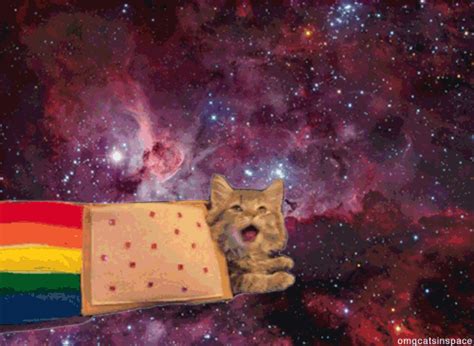 Space Cat GIFs - Get the best GIF on GIPHY