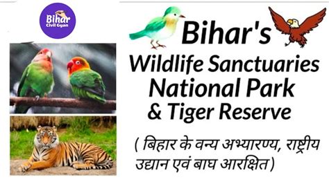 66th BPSC | Bihar Wildlife Sanctuaries, National Park & Tiger Reserve ...