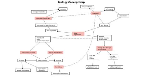 Biology Concept Map Template | EdrawMind