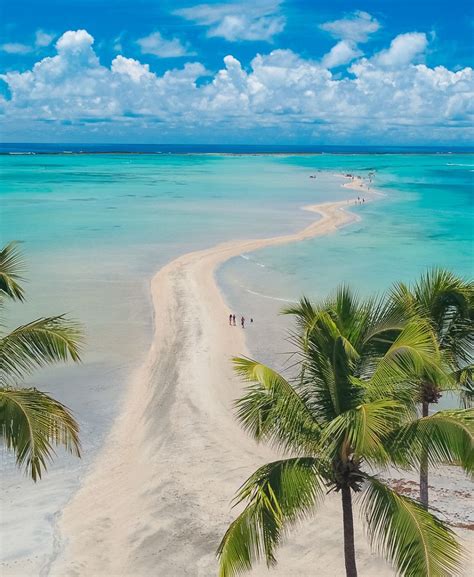 Você já ouviu falar do Caribe Brasileiro, formado pelas belas praias de ...