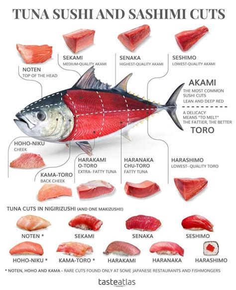 Produce explained: 9 cuts of tuna sashimi for a swimmingly good meal