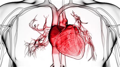 Vascular Medicine - American College of Cardiology